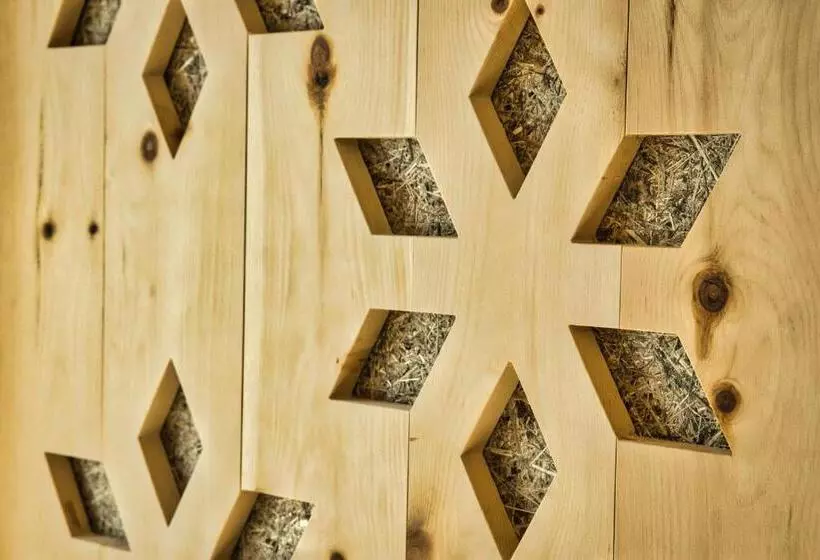 هتل Zermama Zermatt