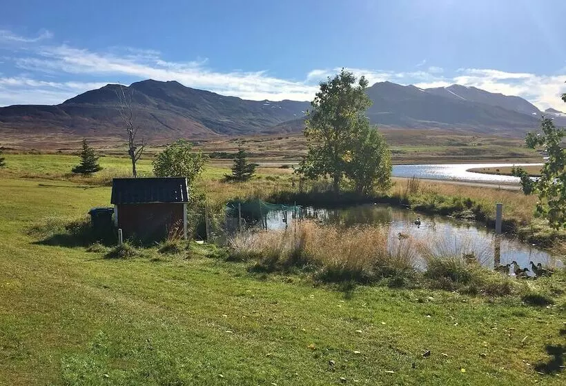 Höfði Cottages