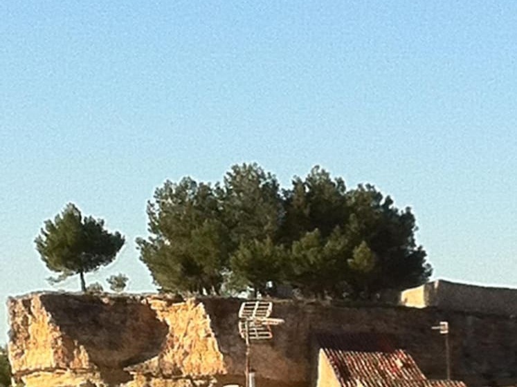 فندق فئة نجمة واحدة La Posada De Higueruela