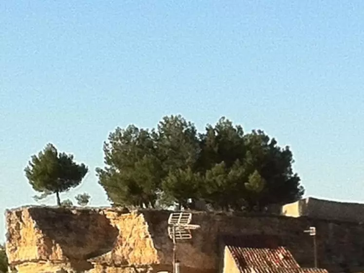 Hostelli La Posada De Higueruela