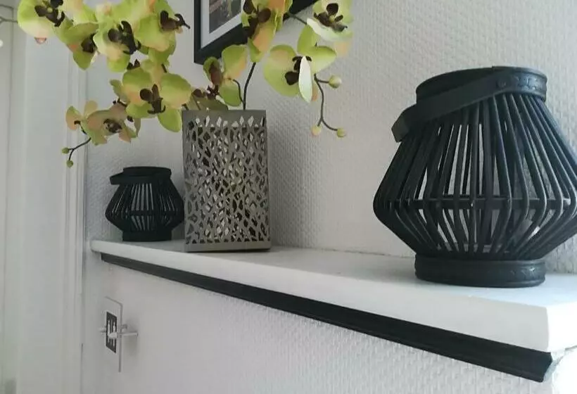 هاستل La Boutique House
