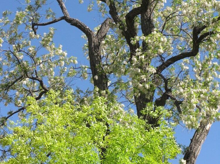 هاستل Casa De Tres Lunas/house Of Three Moons