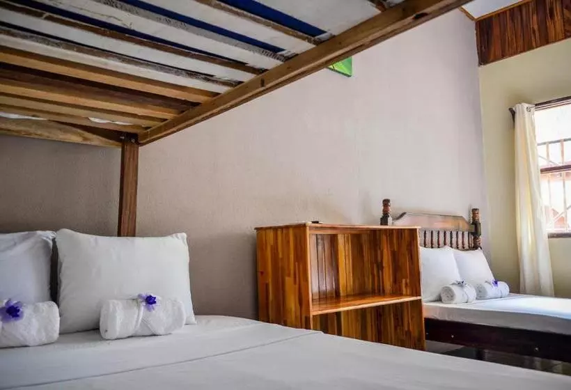 Hotelli Cabinas Coco Alegre