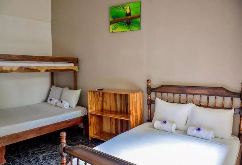 Hotelli Cabinas Coco Alegre