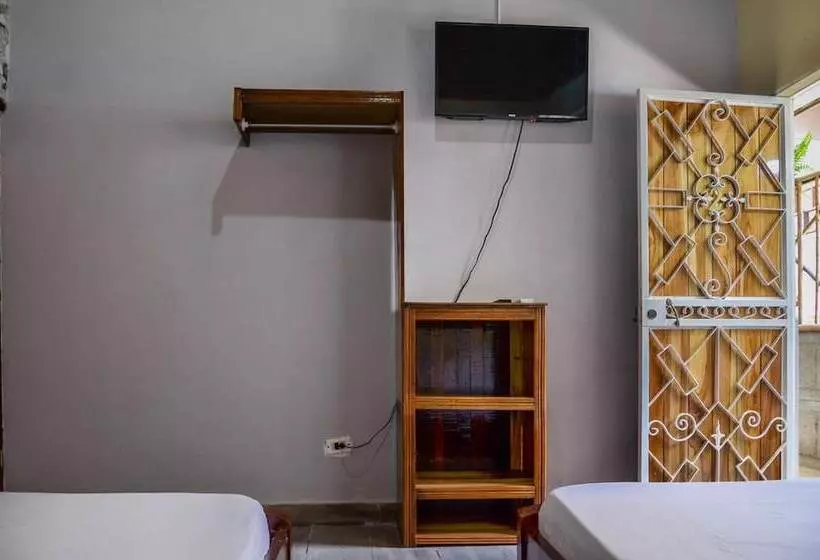 Hotelli Cabinas Coco Alegre