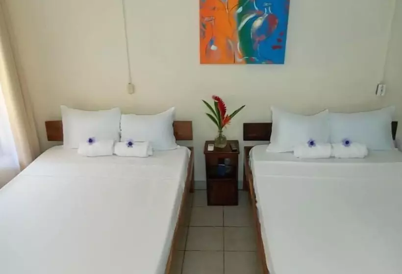 Hotelli Cabinas Coco Alegre