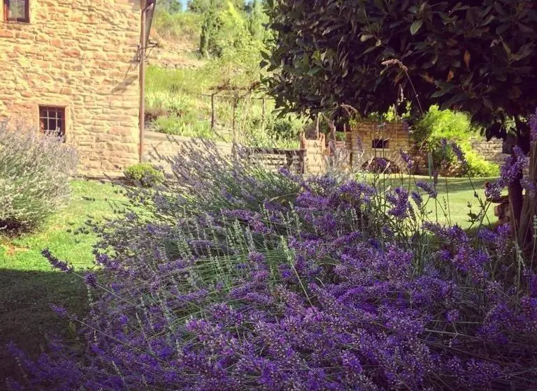 Majatalo Ca  Maranghi Holiday House