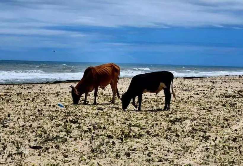 ペンション Pousada Club De Poças