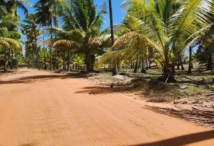 ペンション Pousada Club De Poças