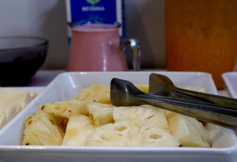 Пансион Pousada Dos Artistas Museu