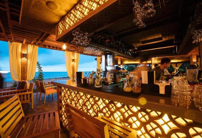 Dreamland Oasis 7 Chakvi