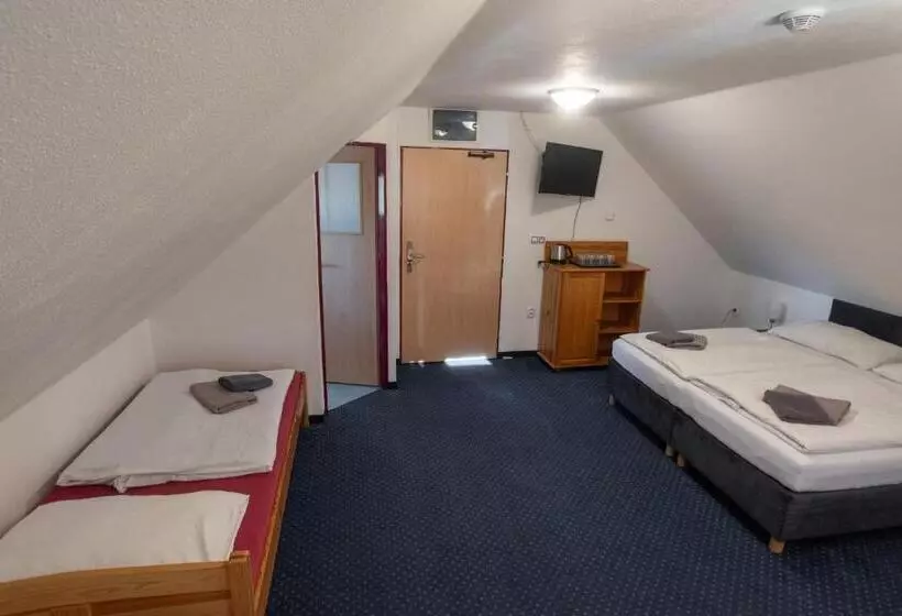 Hotelli Wellness & Restaurant U Fandy