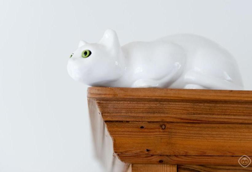 ベッドアンドブレックファースト Lijnbaan Canal View Apartment