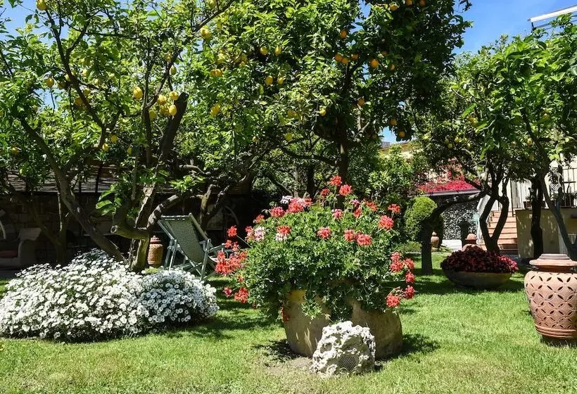 Отель Antiche Mura