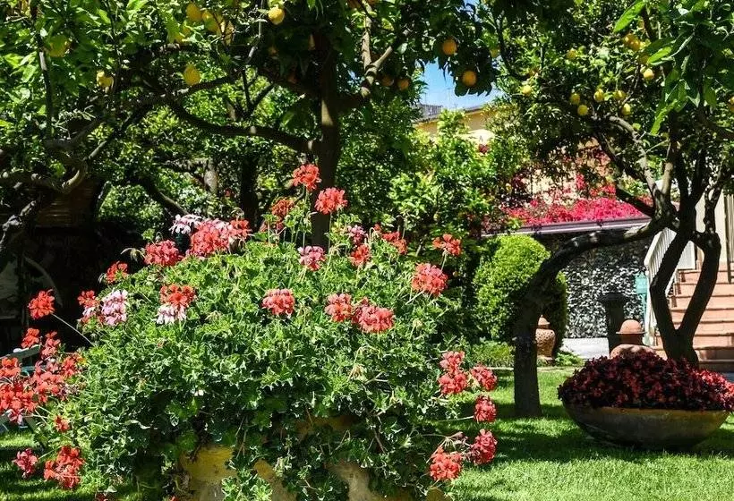 Отель Antiche Mura