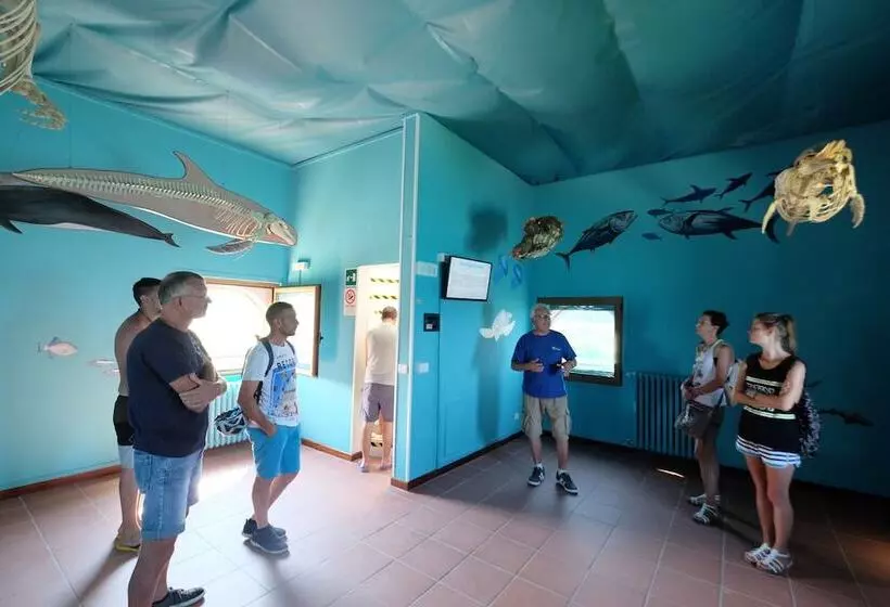 Отель Hermitage