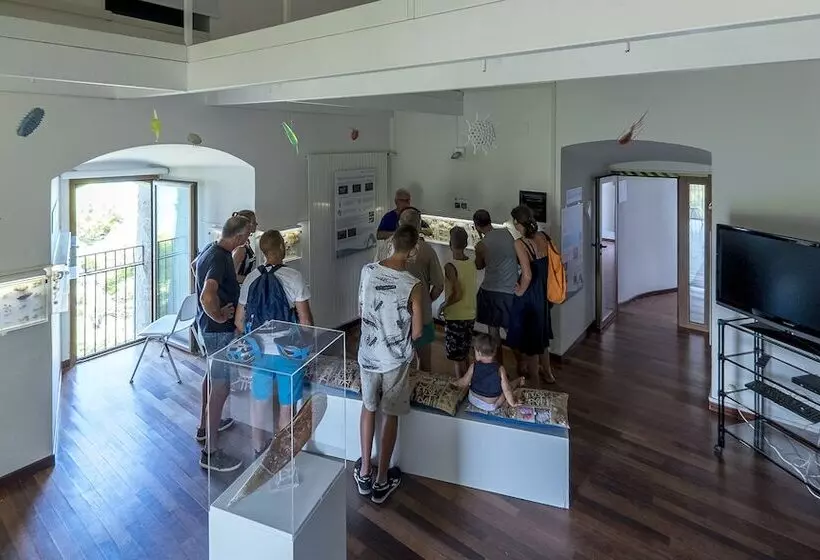 Отель Hermitage