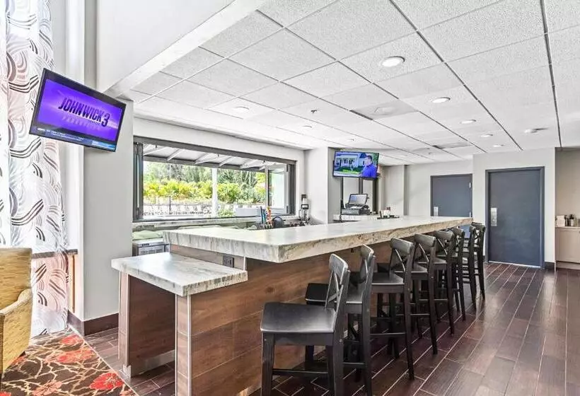 בית מלון כפרי Holiday Inn   St. Petersburg West, An Ihg