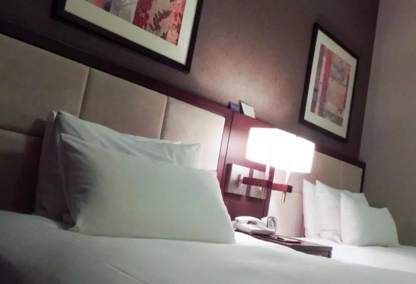 בית מלון כפרי Sunroute Plaza Shinjuku