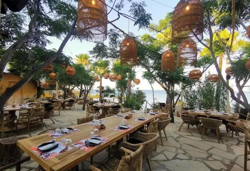 호텔 Tsokkos Gardens