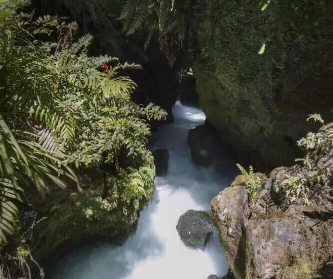 ホテル Okoroire Hot Springs