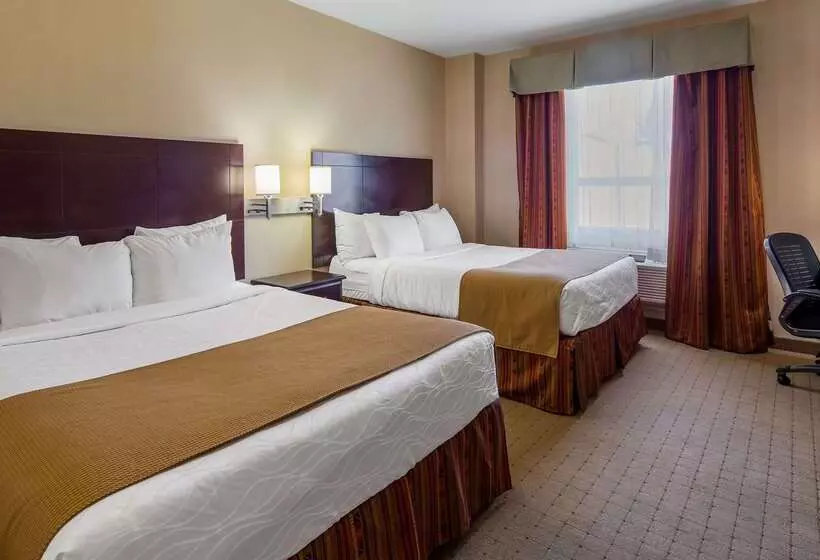 酒店 Best Western Plus Bowmanville