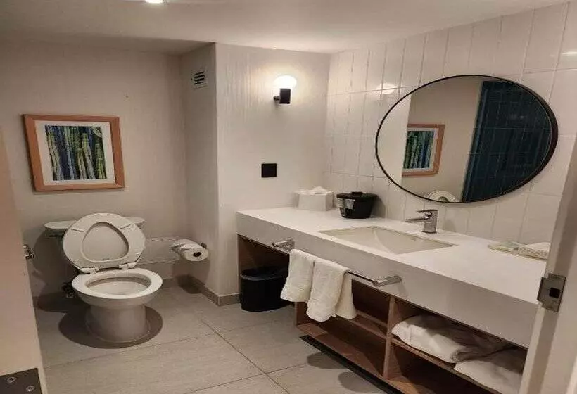 ホテル Hampton by Hilton Saltillo Zona Aeropuerto