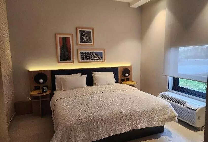 ホテル Hampton by Hilton Saltillo Zona Aeropuerto