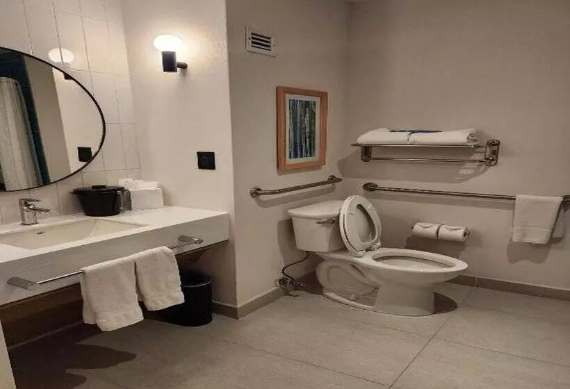 ホテル Hampton by Hilton Saltillo Zona Aeropuerto