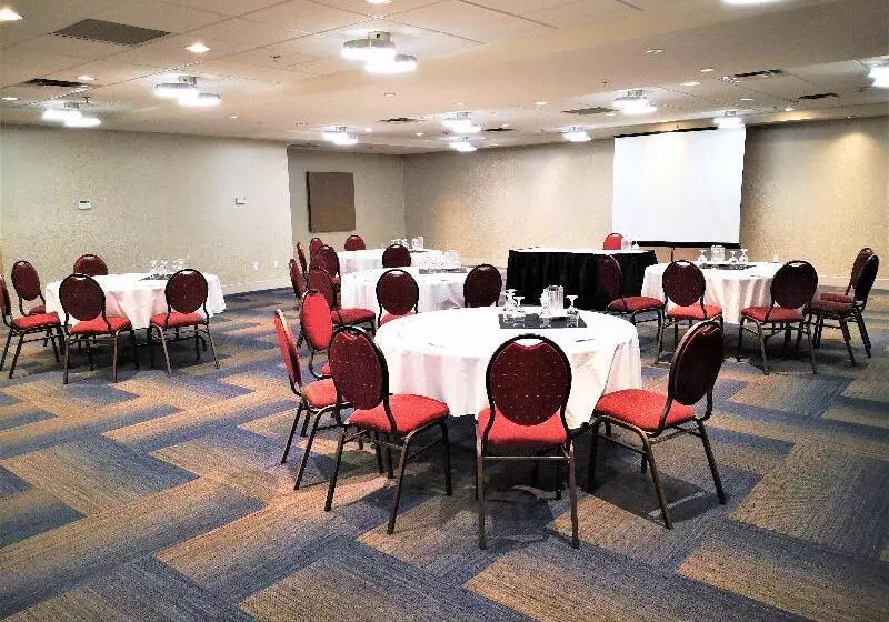 酒店 Holiday Inn Express And Suites Surrey, An Ihg