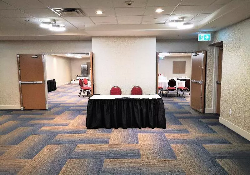 酒店 Holiday Inn Express And Suites Surrey, An Ihg