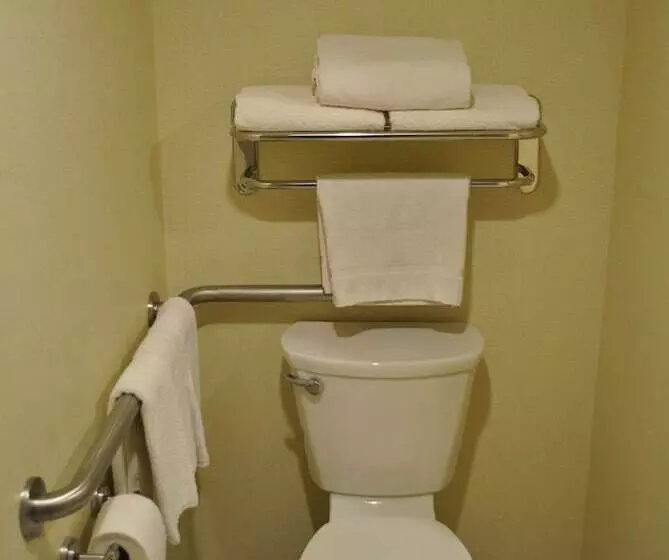 호텔 Holiday Inn Express Toluca, An Ihg