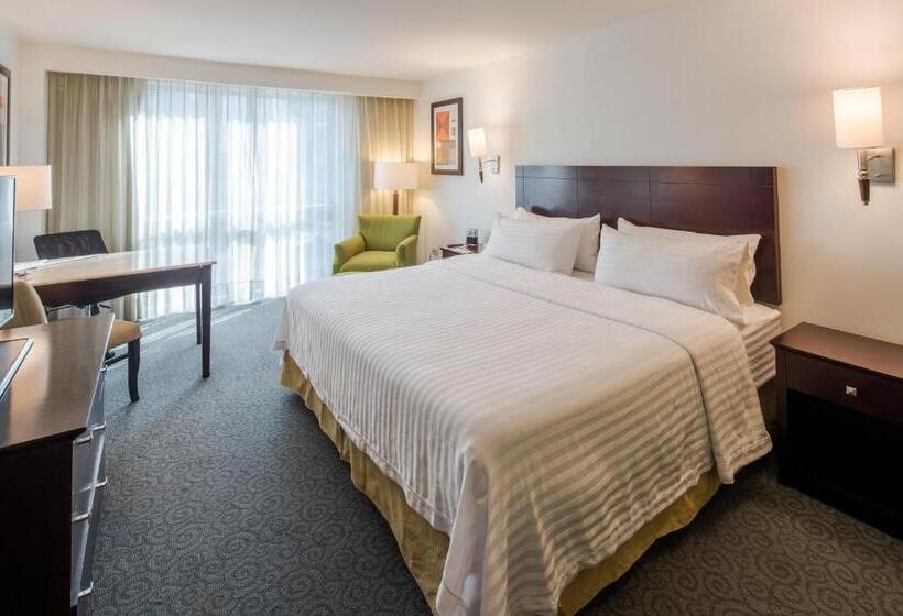 Szálloda Holiday Inn Monterrey Valle, An Ihg