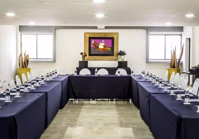 Отель Imperio De Angeles Executive Leon By Real De Minas Business Class