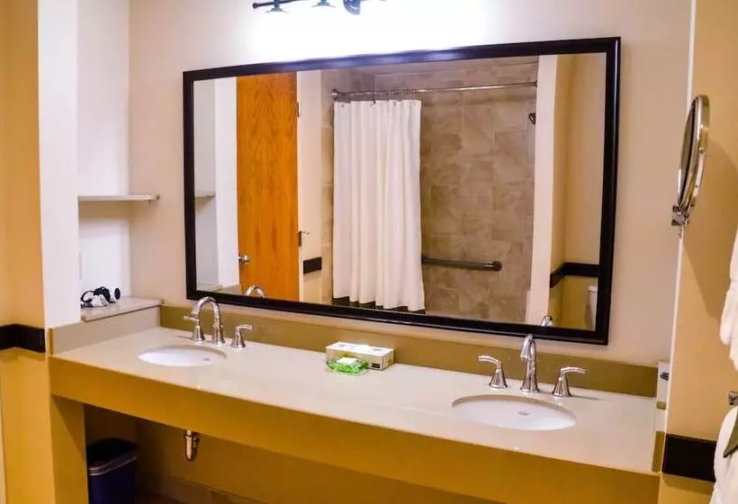 Отель Kingbridge Conference Centre &