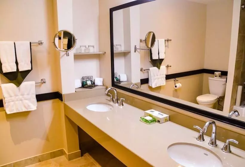 Отель Kingbridge Conference Centre &