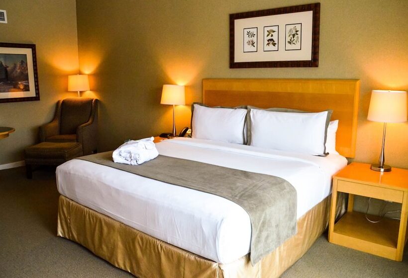 فندق Kingbridge Conference Centre &