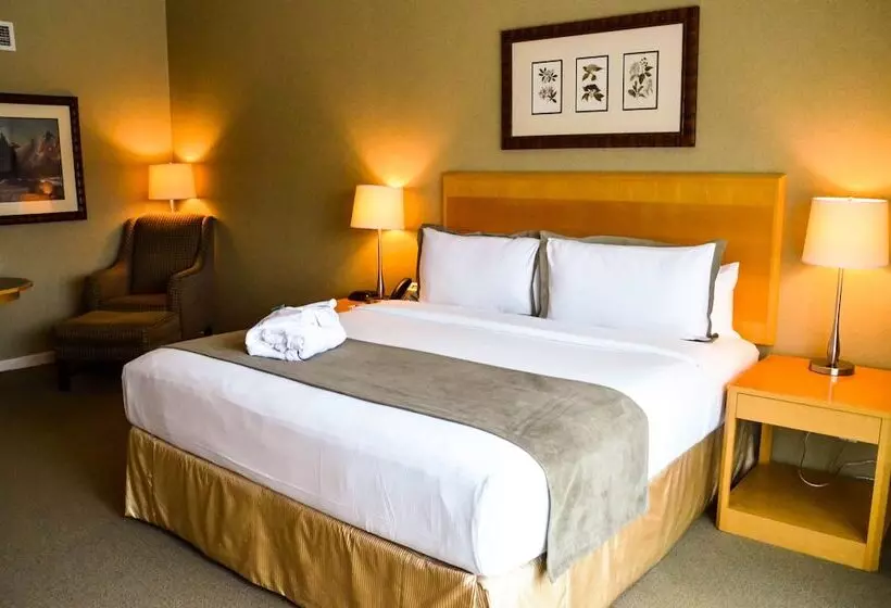 Отель Kingbridge Conference Centre &