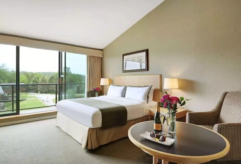 Отель Kingbridge Conference Centre &