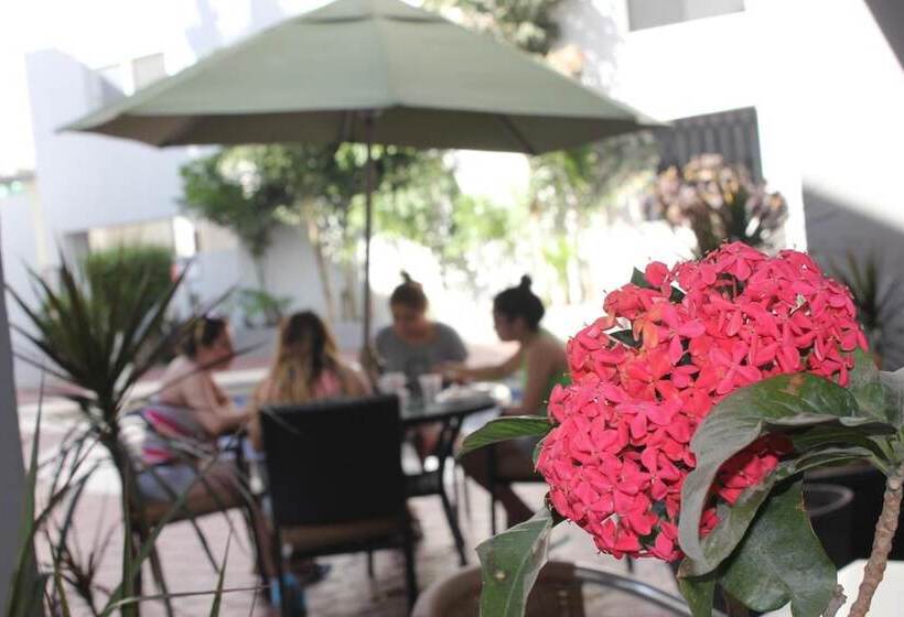 Szálloda Seven Crown Express & Suites By Kavia