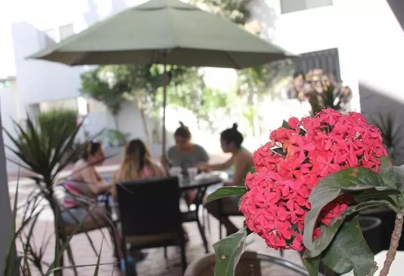 ホテル Seven Crown Express & Suites By Kavia