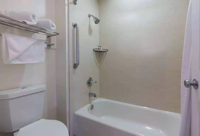 בית מלון כפרי Skye San Francisco Airport Sfo Free Shuttle!