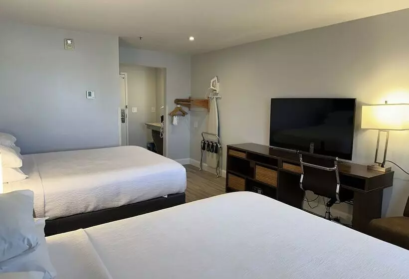 בית מלון כפרי Skye San Francisco Airport Sfo Free Shuttle!