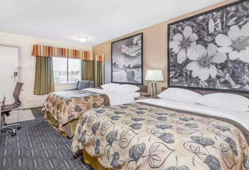 モーテル Super 8 By Wyndham Stettler