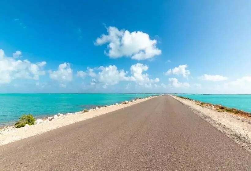 ホテル Valentin Cayo Cruz - Adults Only - All Inclusive