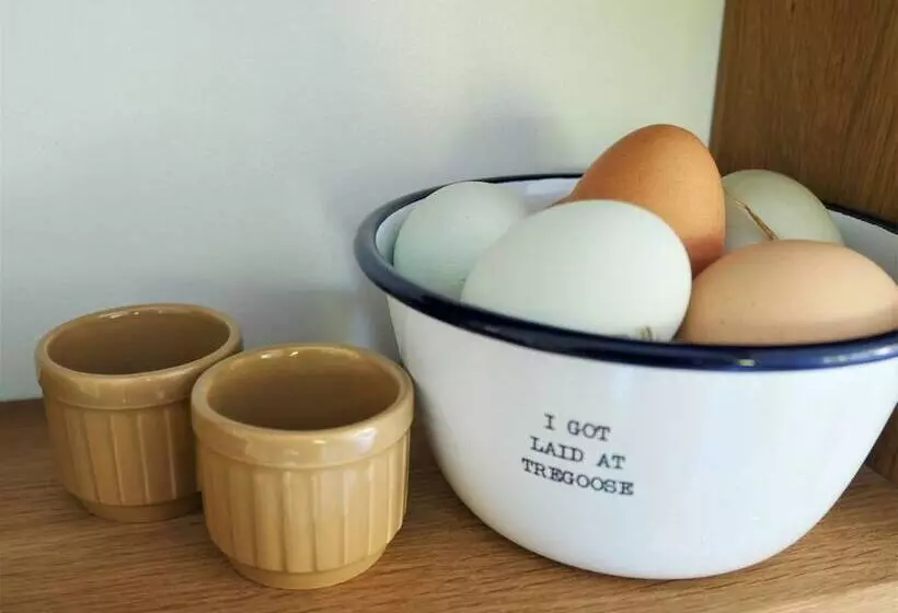 The Wriggly Tin & Baa Spa At Tregoose Old Mill