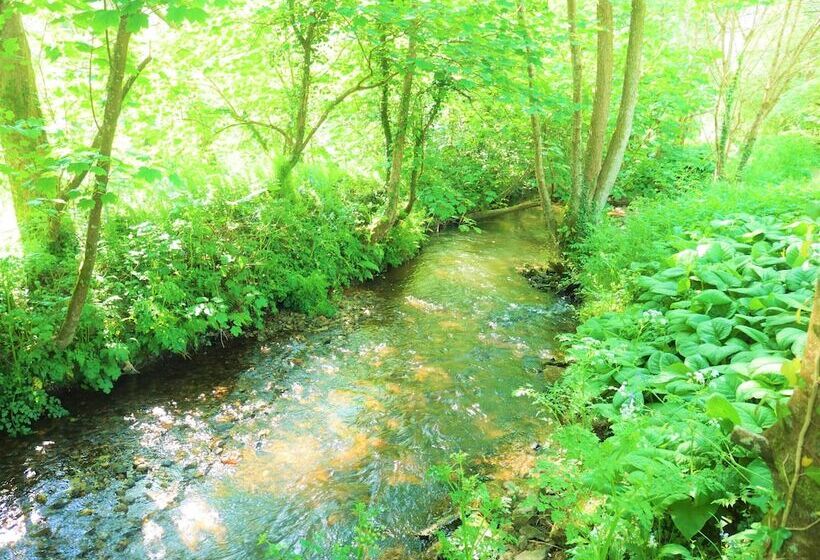 The Wriggly Tin & Baa Spa At Tregoose Old Mill