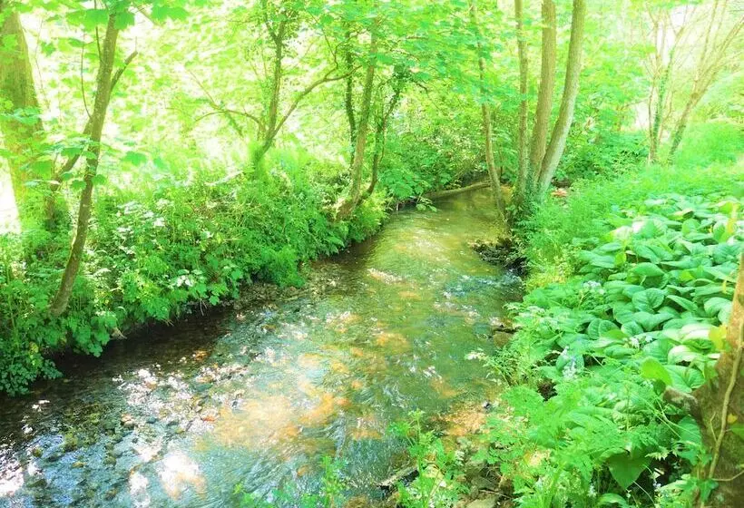 The Wriggly Tin & Baa Spa At Tregoose Old Mill