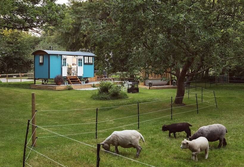 The Wriggly Tin & Baa Spa At Tregoose Old Mill