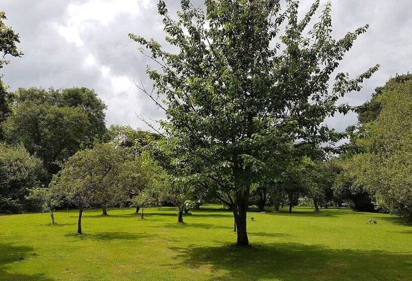 The Wriggly Tin & Baa Spa At Tregoose Old Mill